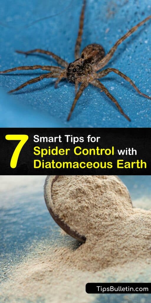 If you're dealing with a spider problem, it's time to discover a natural way to eliminate spiders and insects in your home. Diatomaceous earth powder is an organic form of pest control that works well on any crawling insect. #diatomaceous #earth #spiders