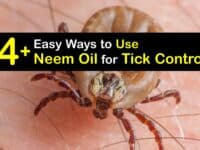 How to Use Neem Oil for Ticks titleimg1