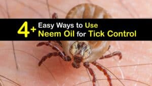 How to Use Neem Oil for Ticks titleimg1