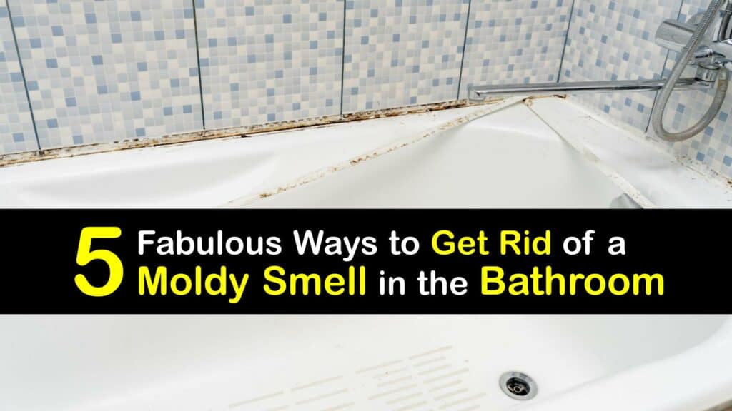 Moldy Smell in the Bathroom titleimg1