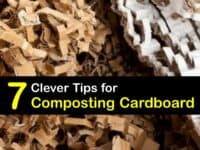 Can You Compost Cardboard titleimg1