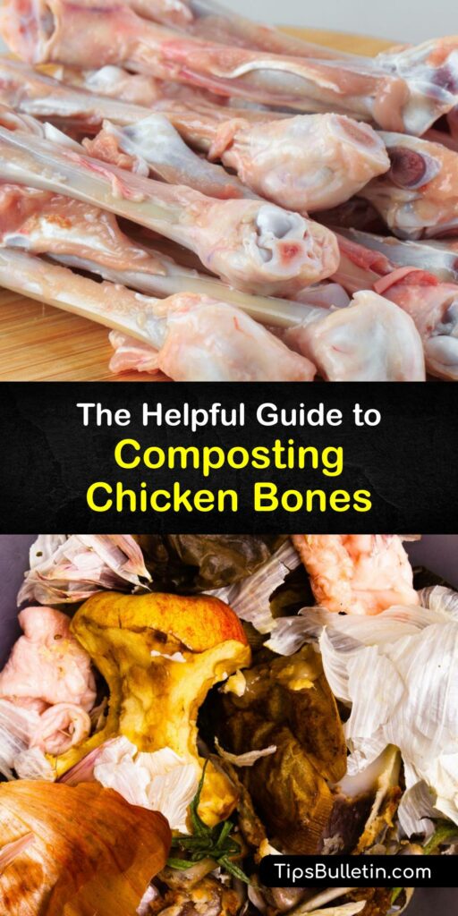 Composting bones in your home compost pile requires special care. Discover how to compost food waste like pork bones and chicken scraps safely with our go-to garden guide. Learn valuable pointers about recycling chicken bone pieces and become a confident composter. #composting #chicken #bones