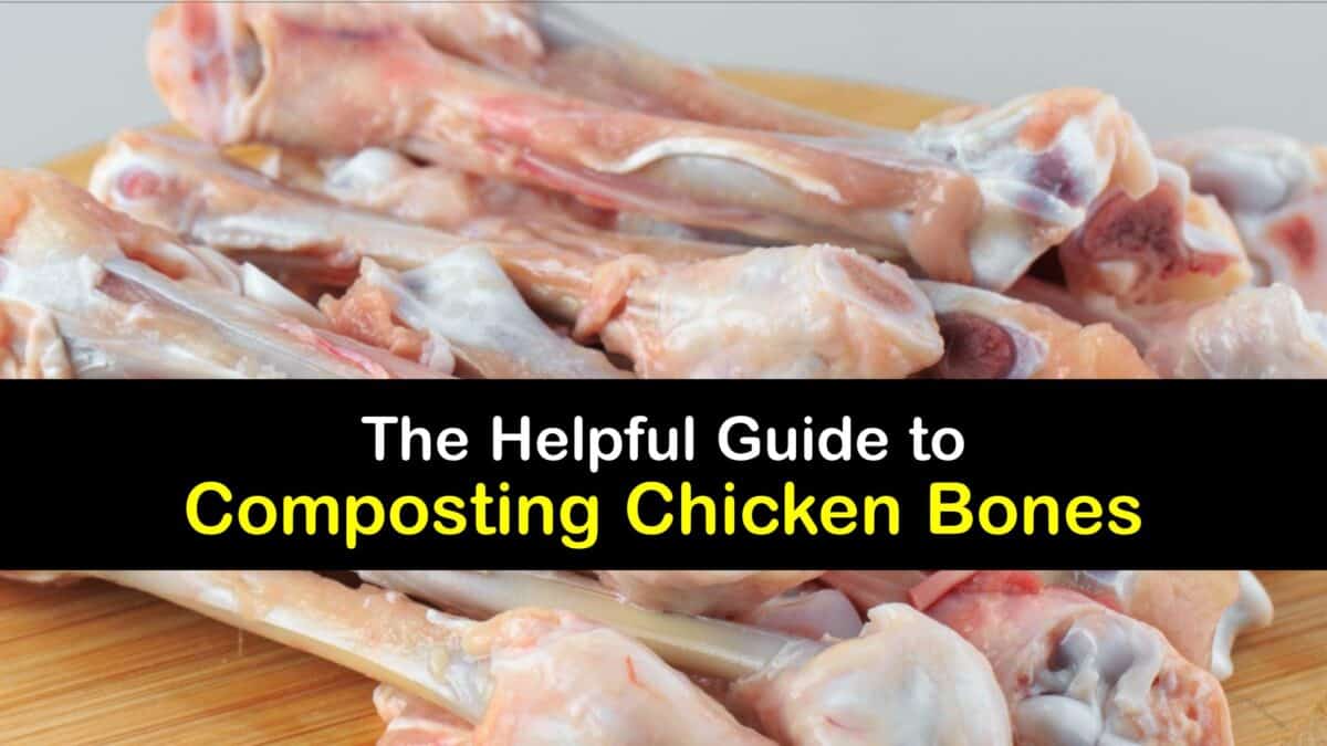 what can chicken bones be used for