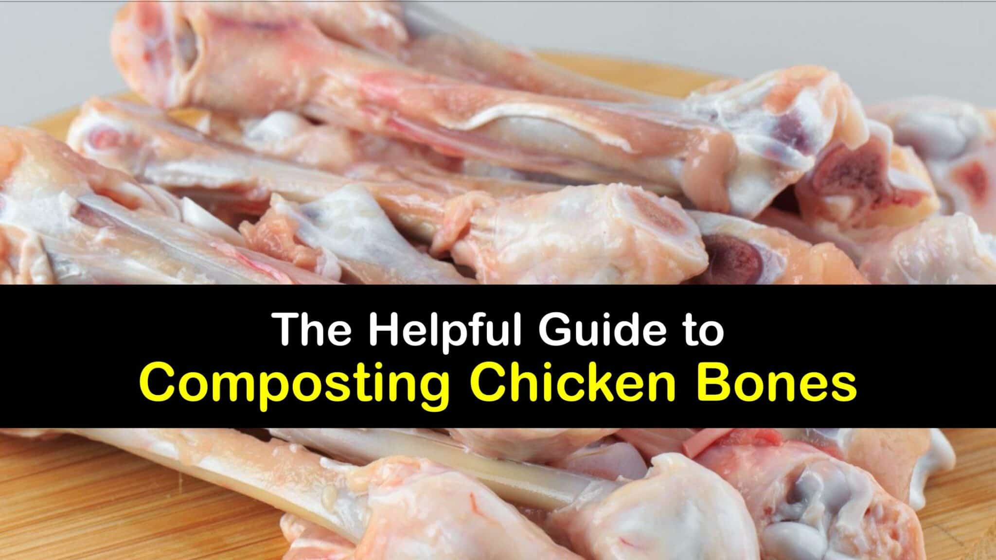 Chicken Bones and Compost Can Chicken Bones Be Composted