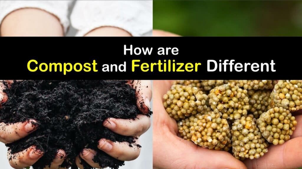 Compost vs Fertilizer titleimg1