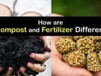 Compost vs Fertilizer titleimg1