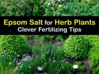 Epsom Salt for Herbs titleimg1