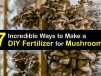 Homemade Fertilizer for Mushrooms titleimg1
