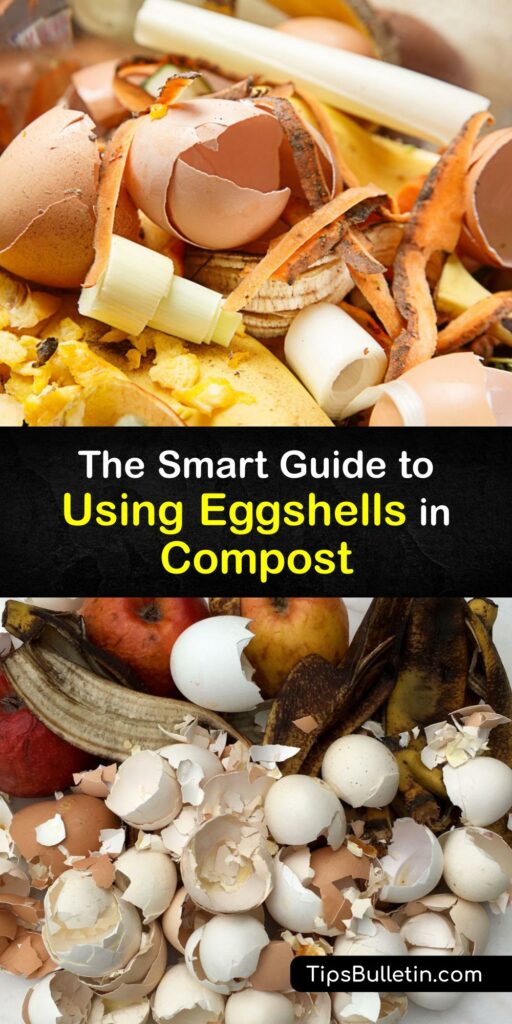 Learn how to compost eggshells and use crushed eggshells as plant fertilizer. Eggshells are excellent for the compost pile. They contain calcium, protein, and other beneficial minerals and nutrients that help prevent blossom end rot. #howto #compost #eggshells