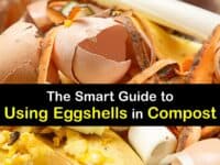 How to Compost Eggshells titleimg1