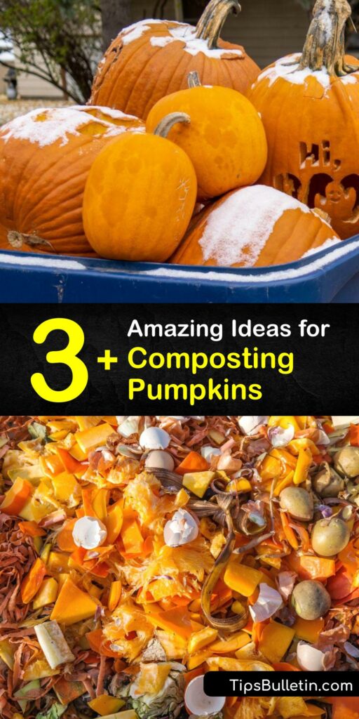 While food waste like unwanted pumpkins, pumpkin seeds, and yard waste, are good for your compost pile, household hazardous waste is not. Add leftover pumpkin to your compost but be aware pumpkin seed may overwinter and grow new plants after you compost your garden. #how #compost #pumpkin