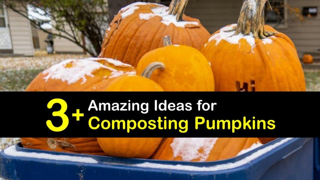 How to Compost Pumpkins titleimg1