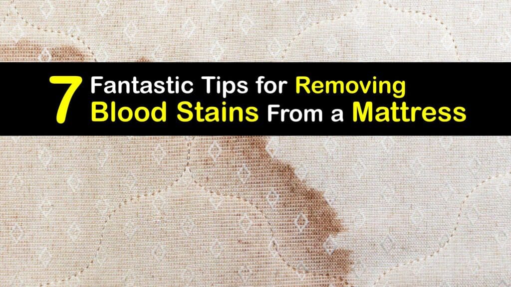 How to Get Blood Out of a Mattress titleimg1