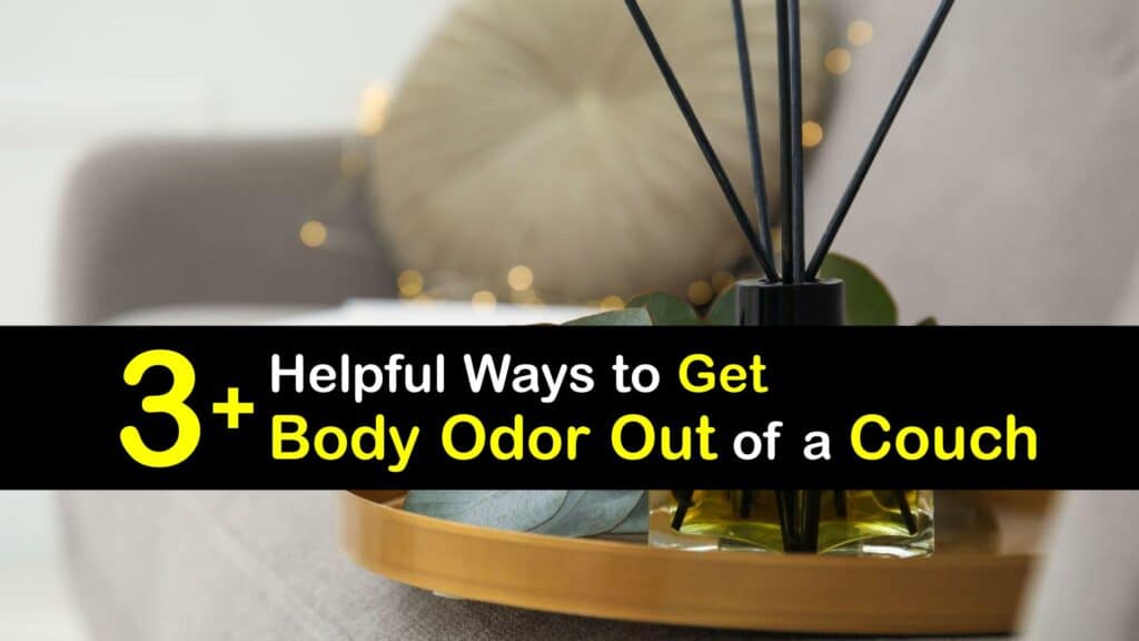 How to Get Body Odor Out of a Couch titleimg1