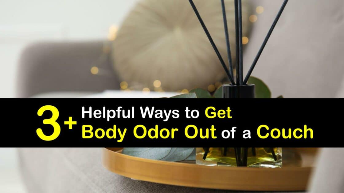 Remove Body Odor from a Sofa Eliminating BO from a Couch