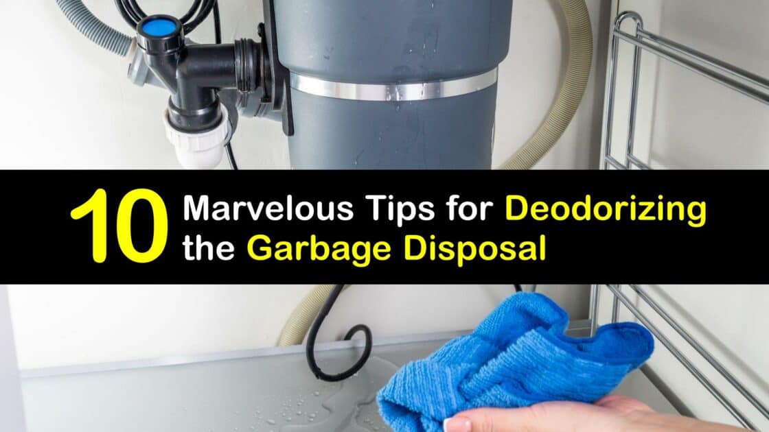 Stinky Disposal Guide to Remove Odors from a Garbage Disposal