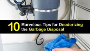 How to Make a Garbage Disposal Smell Better titleimg1