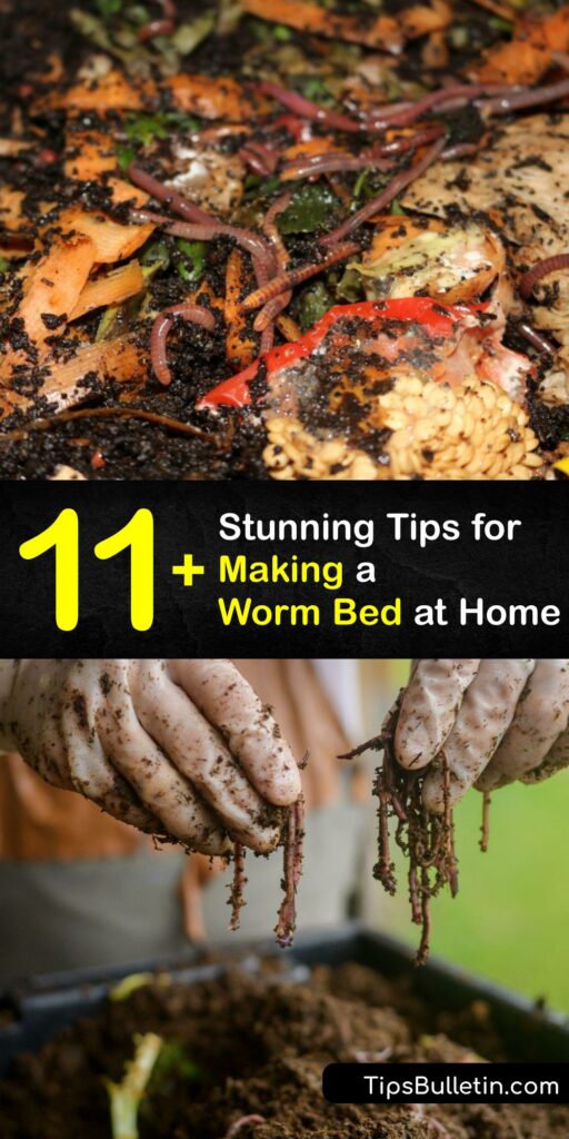 A worm bed or bin is an excellent way to reduce food waste and repurpose food scraps and kitchen scraps into worm compost. Set up a habitat with bedding material, add a red worm or red wiggler population, keep them moist and fed, and enjoy compost and worm castings. #how #make #worm #bed