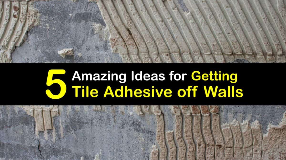 Eliminate Tile Glue Guide for Removing Tile Adhesive From a Wall