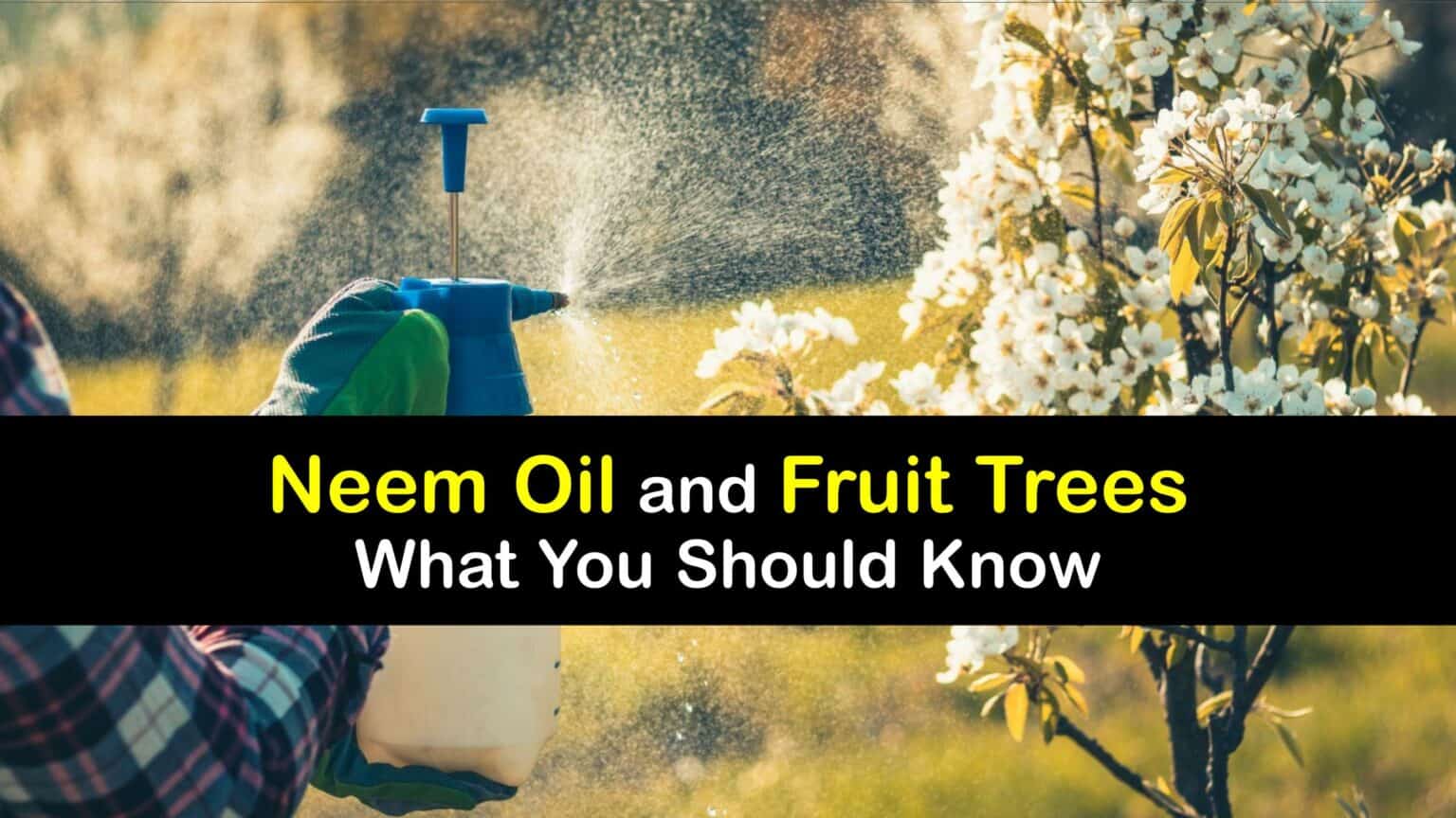 Neem Oil for Fruit Trees Guide for Fruit Tree Pests and Diseases