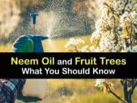 How to Use Neem Oil on Fruit Trees titleimg1