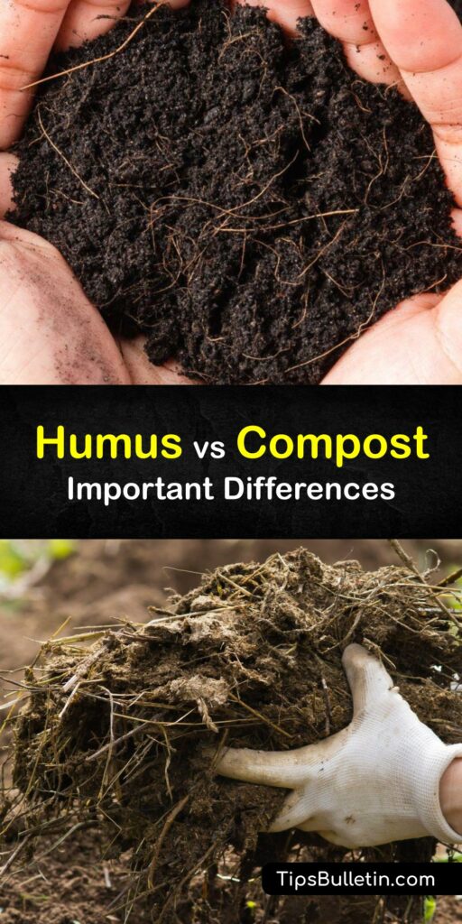 Soil amendments like compost, humus soil, peat moss, and mulch improve soil structure and increase soil fertility. Use compost to add organic material and nutrients to the soil, or humus and its humic acid to increase water retention in your garden. #humus #compost