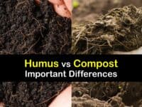 Humus vs Compost titleimg1