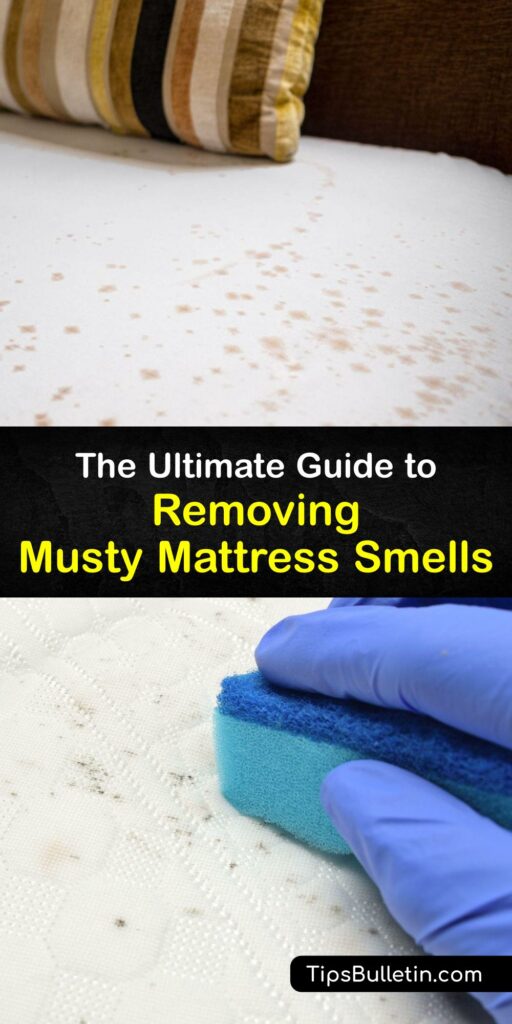 Mattresses attract odor and allergens. Discover how to refresh your memory foam mattress, air mattress, or traditional mattress with the best mattress care tips and tricks. Learn how to use simple things like vinegar for your old or new mattress. #remove #musty #smell #mattress