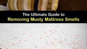 Mattress Smells Musty titleimg1