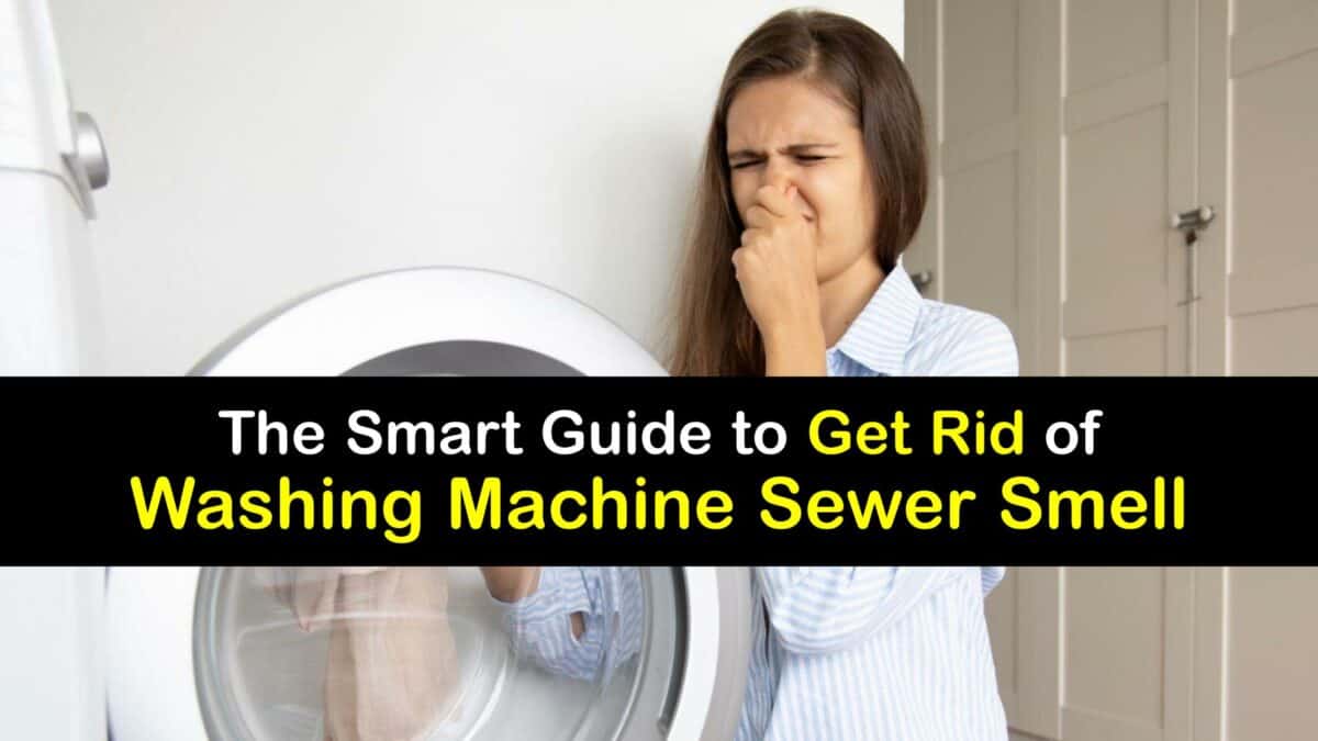 Sewer Smells Remove Sewage Odors from the Washing Machine