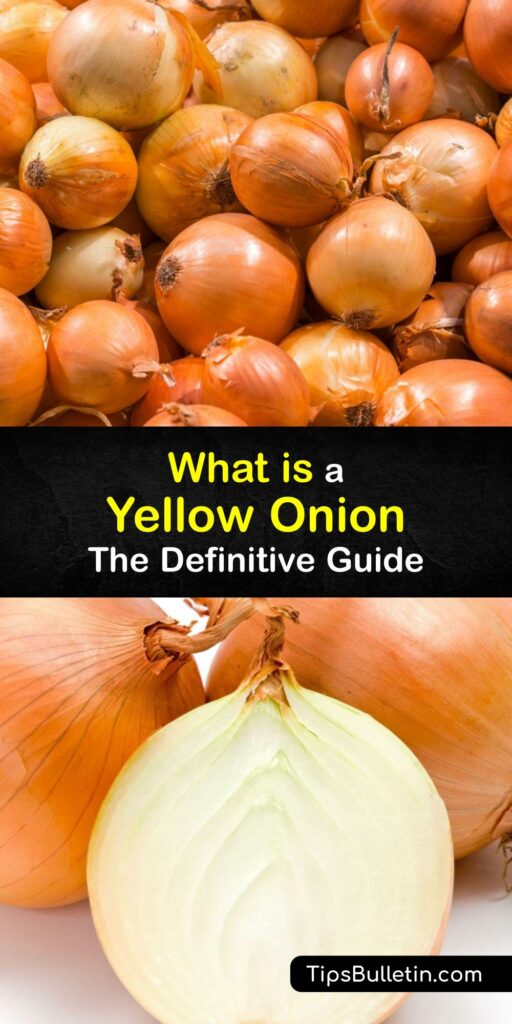 White onions, scallions, shallots - are they different? Learn how to choose and use the right onion for the job. Discover the difference between Vidalia and Walla Walla so you can start cooking and get caramelizing with the best option. #yellow #onion #cultivars