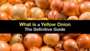 What is a Yellow Onion titleimg1