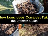 When is Compost Ready titleimg1
