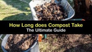 When is Compost Ready titleimg1