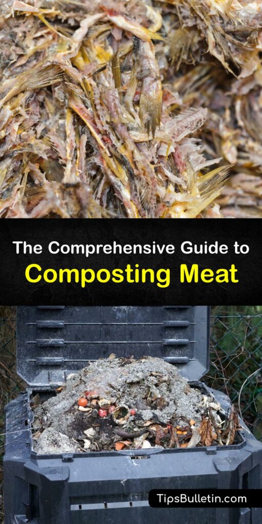 Composting meat scraps with yard waste and other organic material is an ideal way to dispose of raw or cooked meat. Add food scrap material, meat, and other cooked food to your compost bin to reduce food waste and make valuable finished compost for your garden. #compost #meat