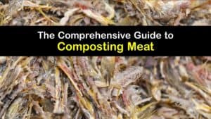 Can You Compost Meat titleimg1