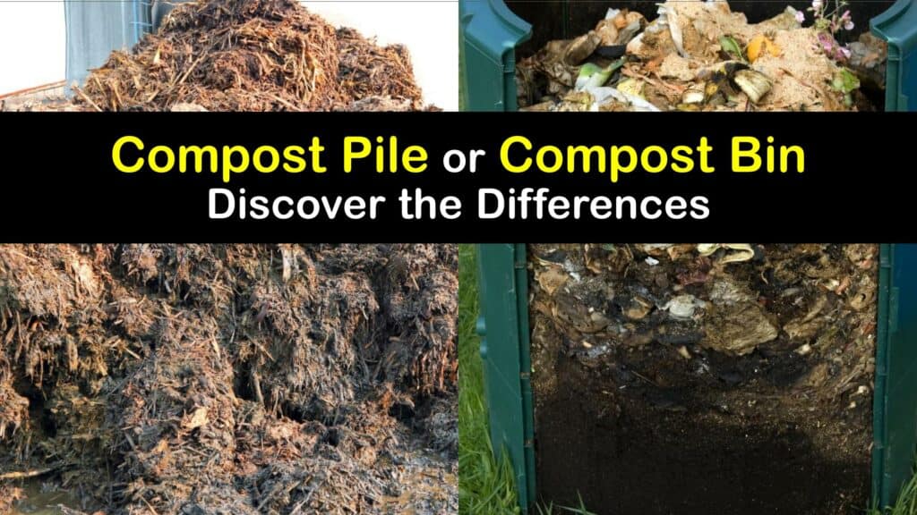 Compost Pile vs Bin titleimg1