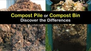 Compost Pile vs Bin titleimg1