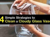 How to Clean a Cloudy Glass Vase titleimg1