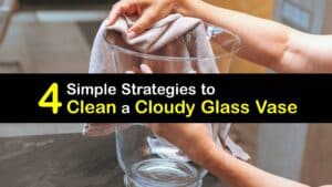 How to Clean a Cloudy Glass Vase titleimg1