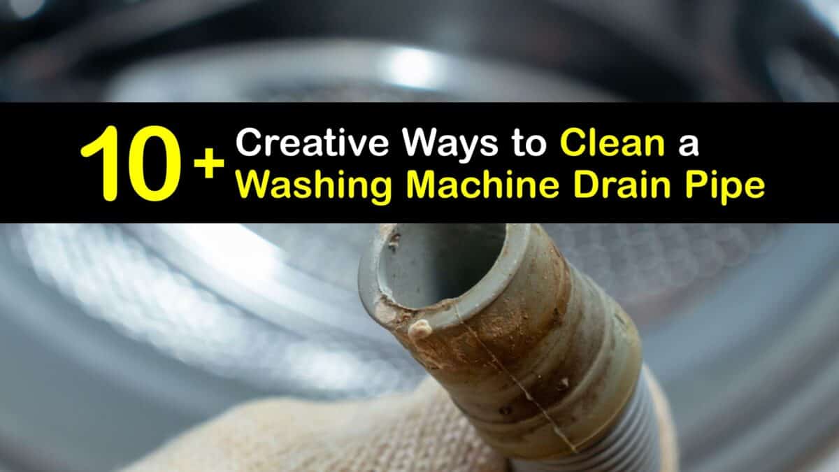 Clean Washing Machine Accessories Cleaning a Drain Hose