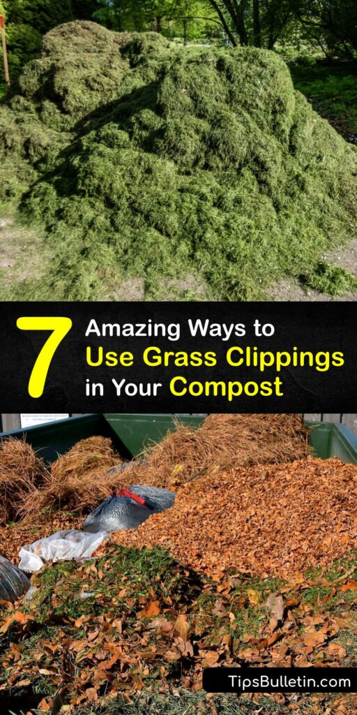 Learn how to compost grass and turn lawn clippings into rich fertilizer. Fresh grass clippings and yard clippings are perfect materials for adding to the compost pile since they are nitrogen-rich. Composting cut grass is an excellent way to recycle. #compost #grass #clippings