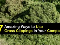 How to Compost Grass Clippings titleimg1