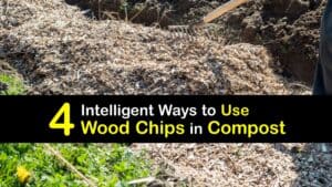 How to Compost Wood Chips titleimg1