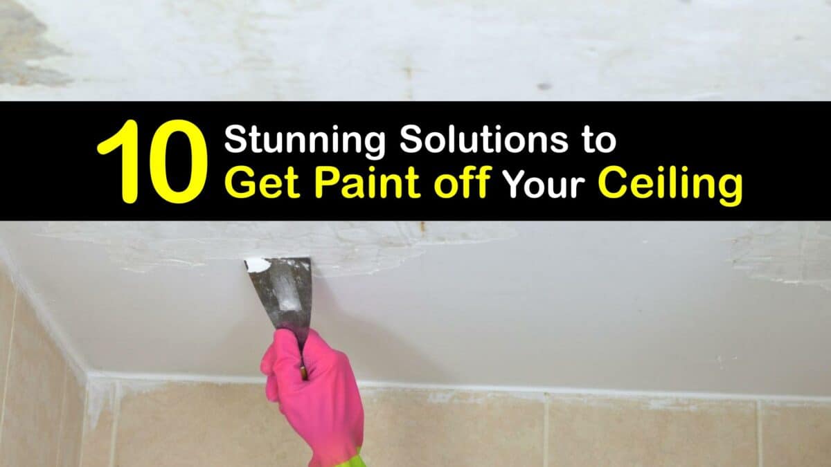 Paint Removal Fast Tricks for Cleaning Paint From the Ceiling