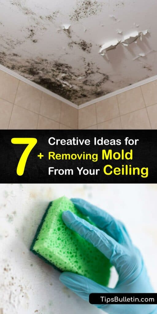 When you find black mold growth, it’s essential to learn how to clean mold and prevent mold from reoccurring. Mould is harmful. Use simple methods for bathroom ceiling mold removal to destroy the spores. Try bleach, white vinegar, or a DIY spray for cleaning mold. #get #rid #mold #ceiling