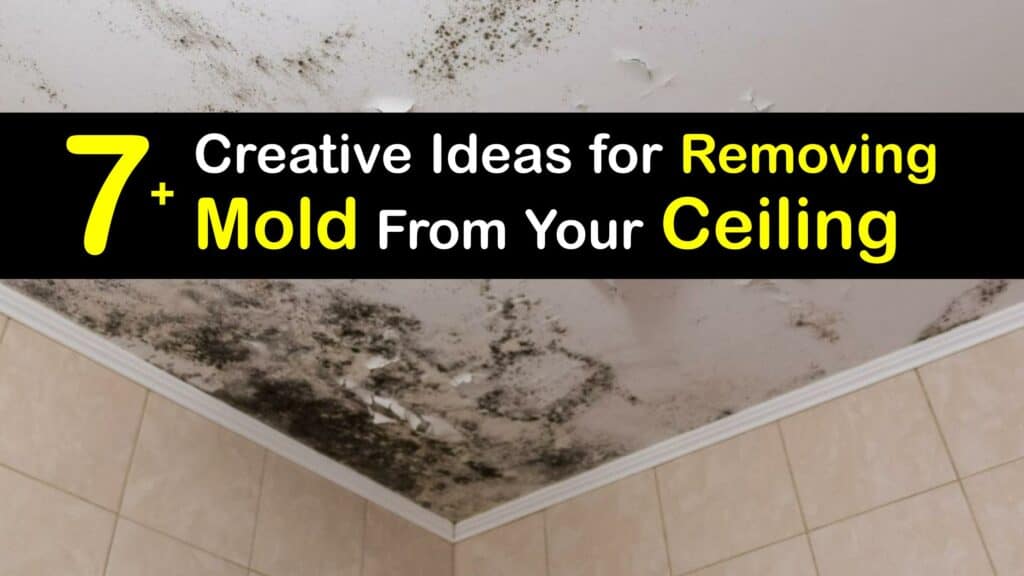 How to Get Rid of Mold on the Ceiling titleimg1