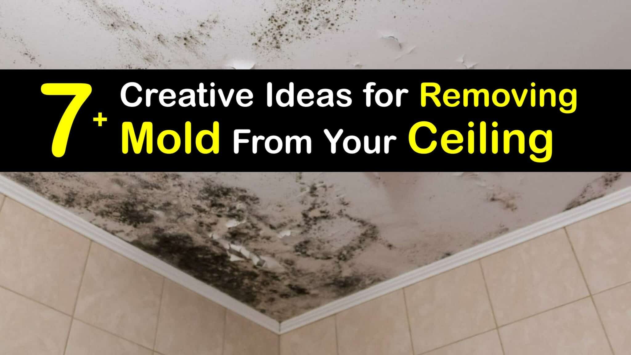 Eliminating Mold Tricks for Removing Mold from the Ceiling