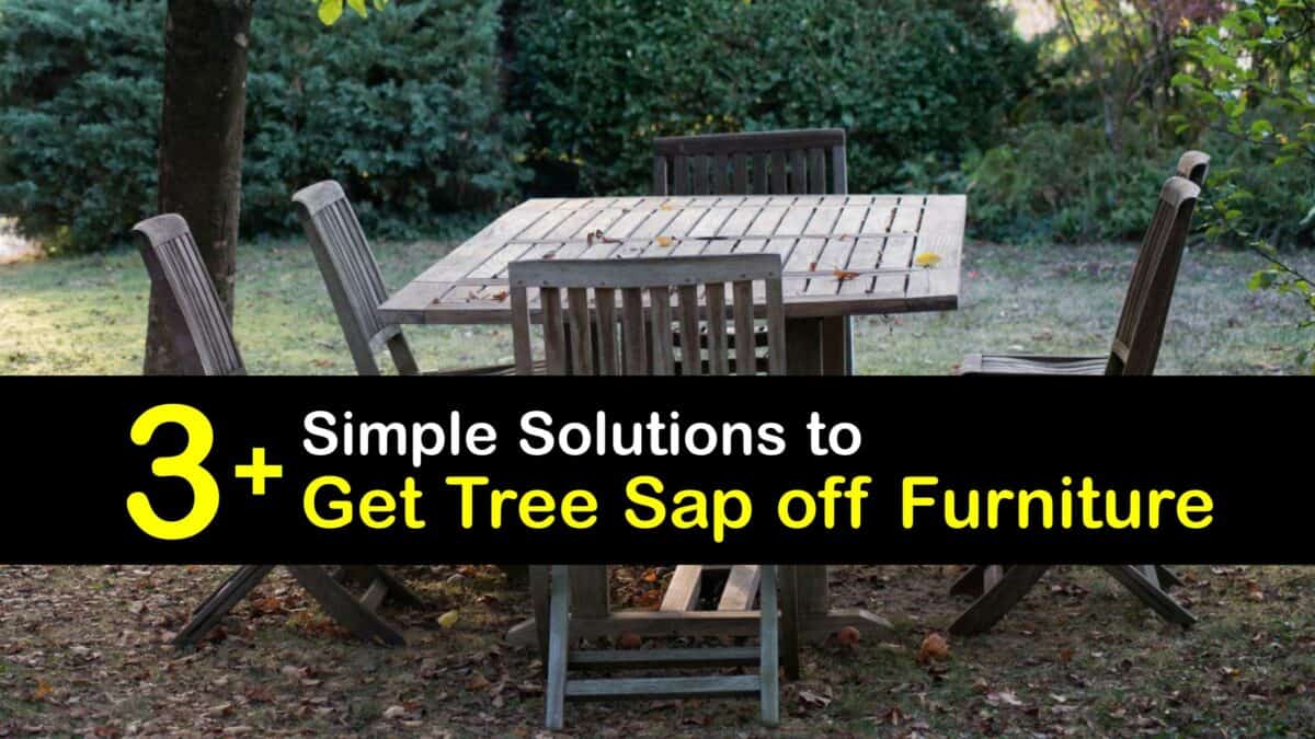 Clean Outdoor Seating Remove Tree Sap From Patio Furniture