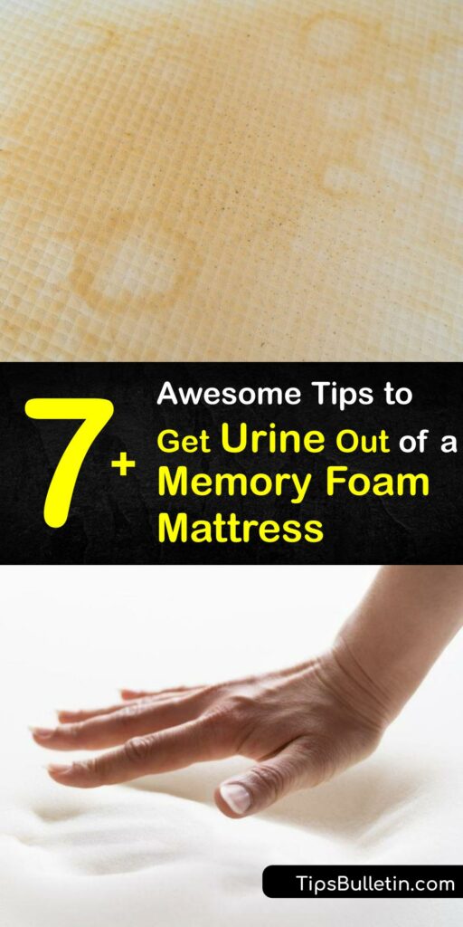 It pays to know how to clean urine stain marks off memory foam mattresses. A mattress protector keeps bed bugs and urine off your mattress. If the worst happens, get rid of the pee smell and staining using white vinegar, dish soap, enzyme cleaner, and more. #urine #remove #memory #foam #mattress